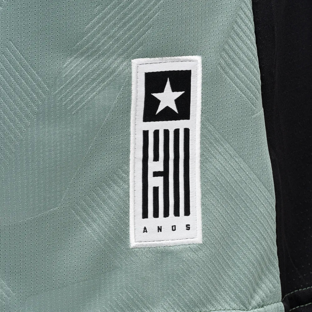 Camisa Botafogo Goleiro 2024/25 Masculina - Cinza