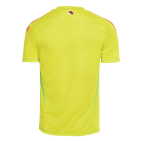 Camisa Flamengo Goleiro 2025/26 Adidas Masculina - Amarelo
