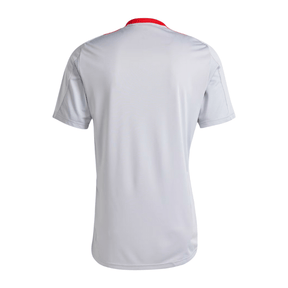 Camisa Internacional Treino 2025/26 Masculina Adidas - Cinza